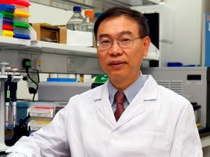 1:binary?id=WErM21NSQ5MMq_2BeC3UKQOg85VCydqH2LGlRnZCL3_2BRNSqTCparWHHuJqw86h63UMkLvqrVckJ4Y_3D:UM has appointed cancer research expert Chair Professor Chuxia Deng as the dean of its Faculty of Health Sciences